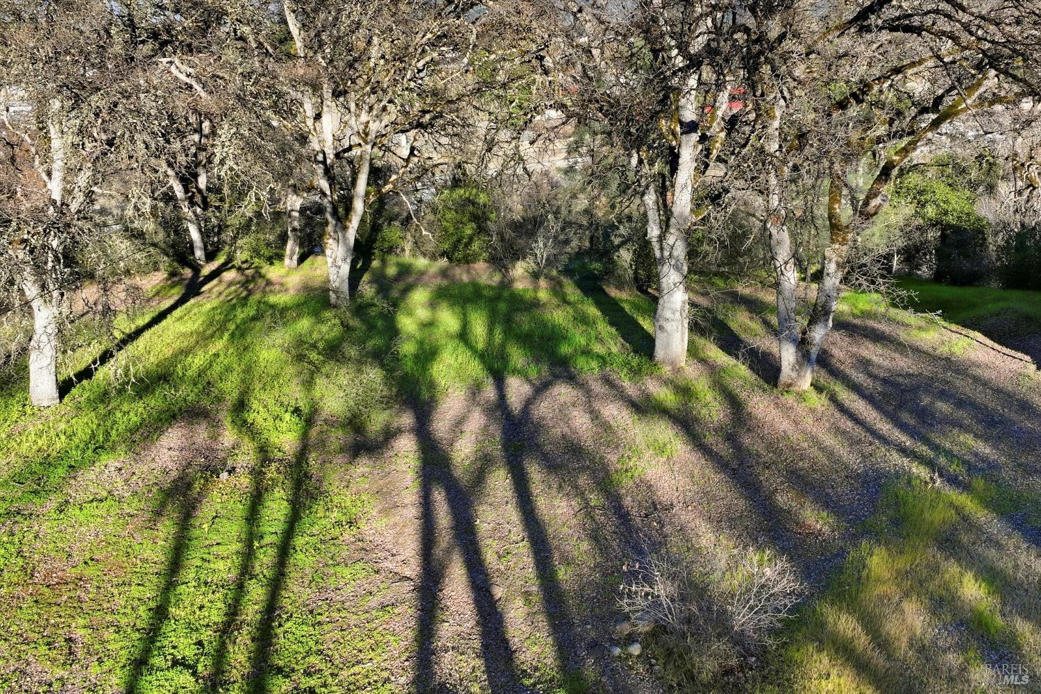 5300 McKee Road Kelseyville, CA 95451 - Photo 4 of 11 a view of an outdoor space