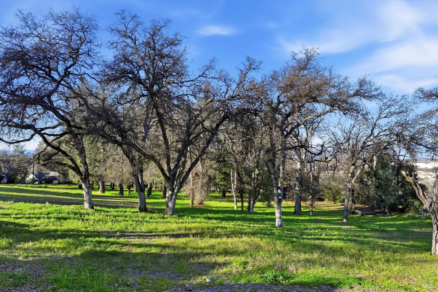 5300 McKee Road Kelseyville, CA 95451 - Photo 10 of 11 a garden view with a fountain