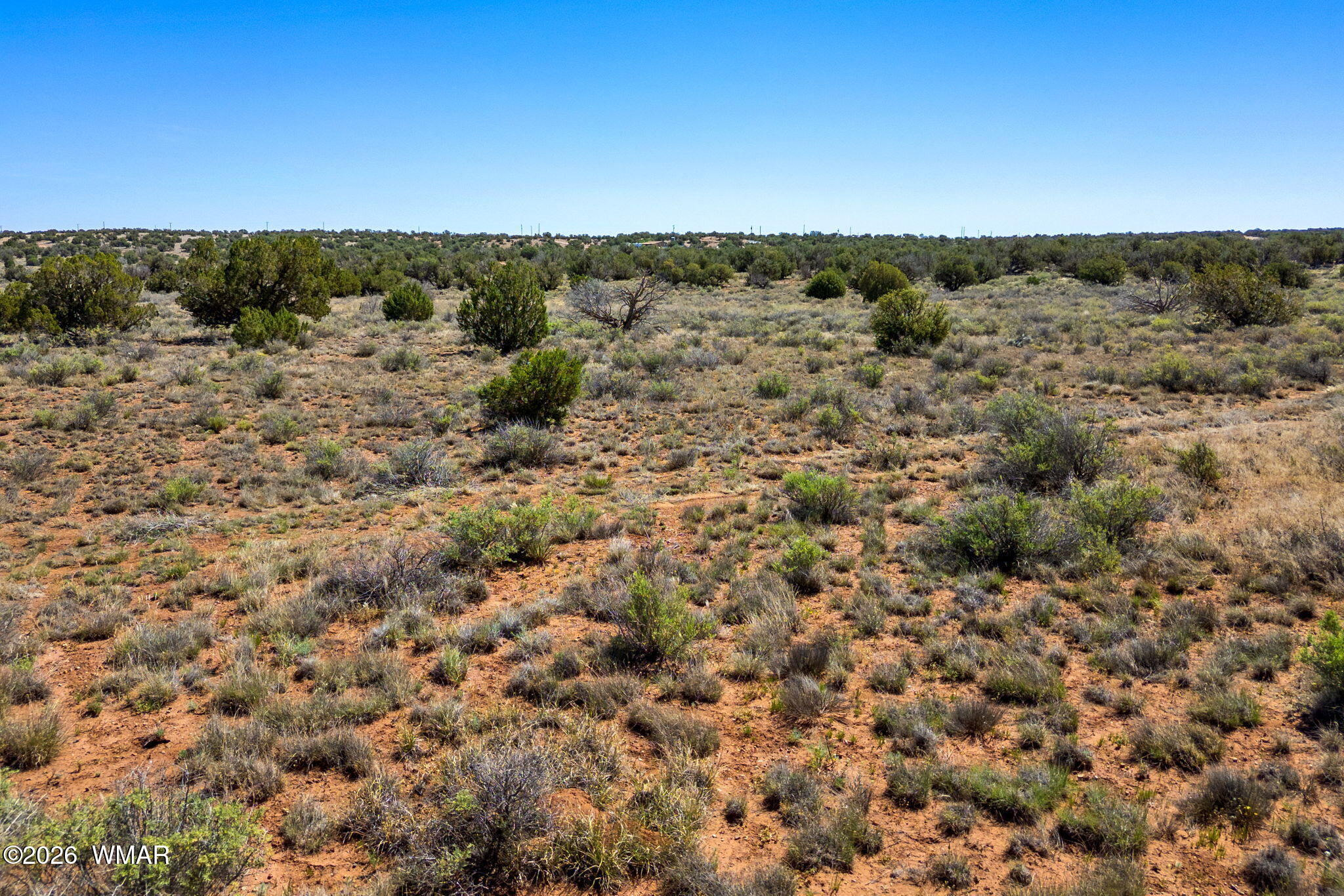 4322 Juniper Road Snowflake, AZ 85937 - Photo 12 of 19 a view of a green field