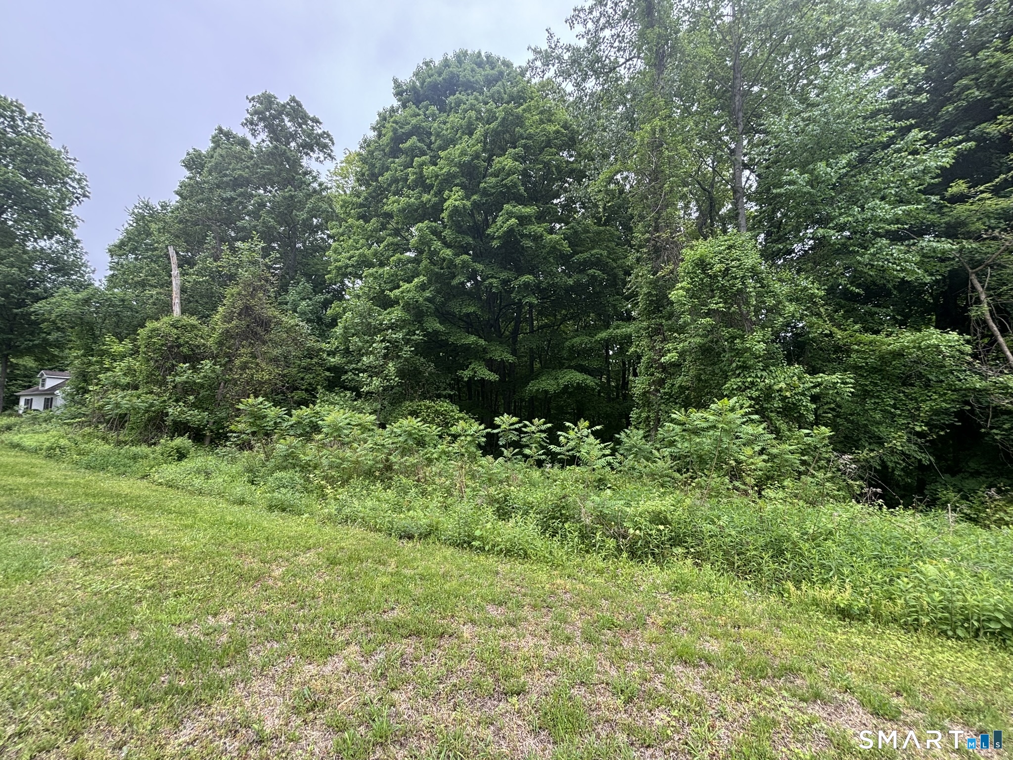 7 Holley Lane Prospect, CT 06712 - Photo 10 of 30 a view of a lush green forest