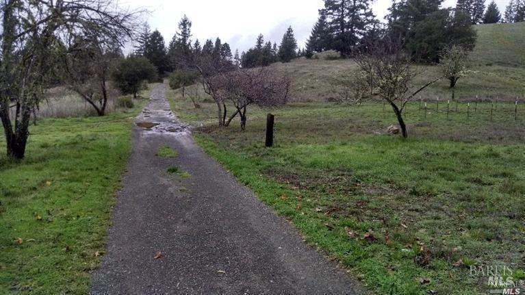 13333 Low Gap Road Ukiah, CA 95482 - Photo 40 of 50 a view of a park with large trees
