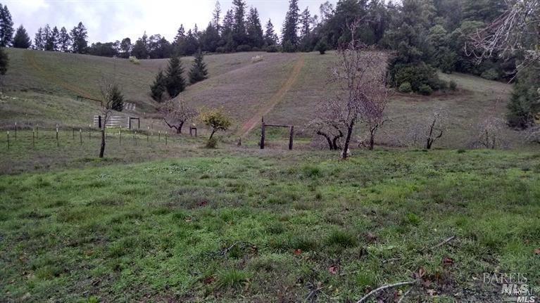 13333 Low Gap Road Ukiah, CA 95482 - Photo 41 of 50 a view of a outdoor space