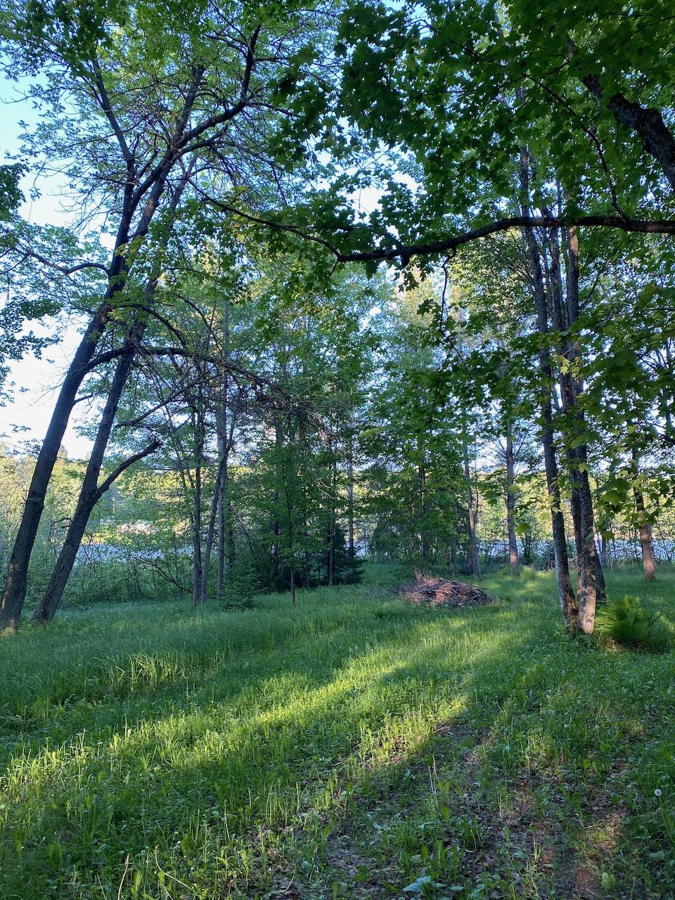 13013 Birch Bay Road Presque Isle, WI 54557 - Photo 8 of 11 Gallery Image 8