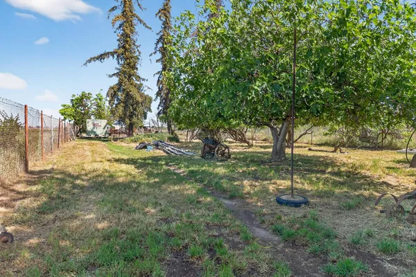 a view of a yard with a tree