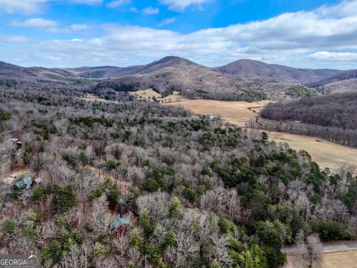 180 Shepherds Ridge Morganton, GA 30560 - Photo 21 of 66