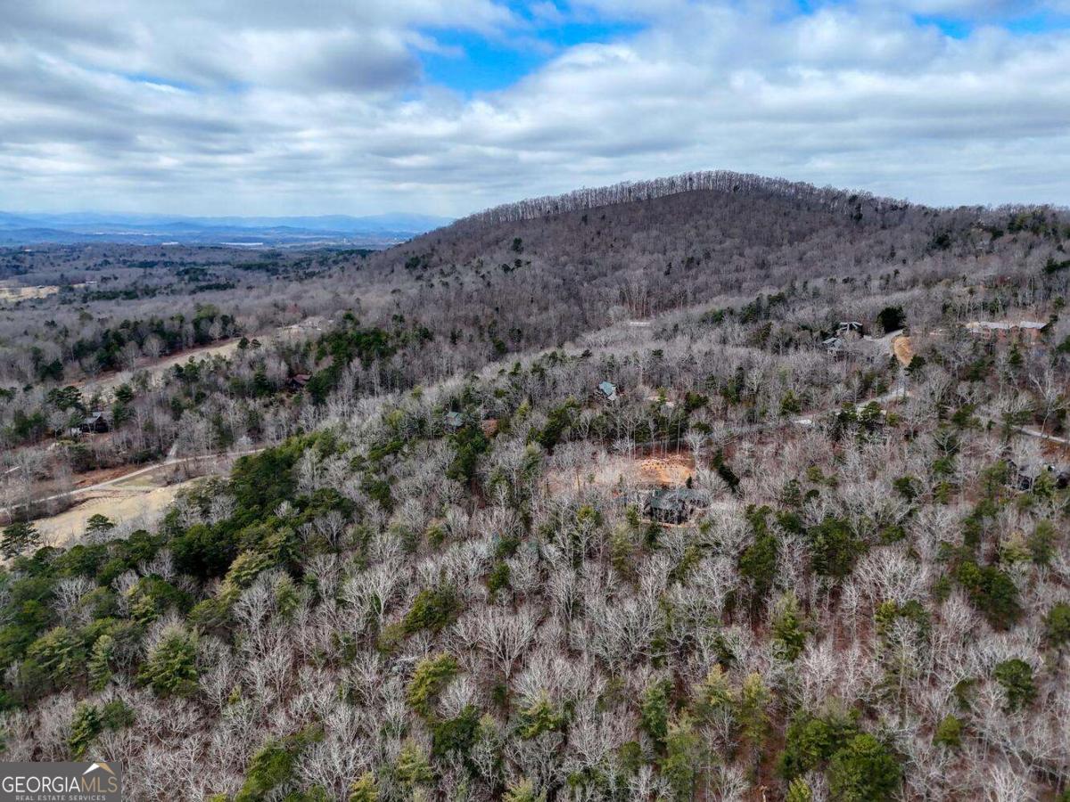 180 Shepherds Ridge Morganton, GA 30560 - Photo 24 of 66