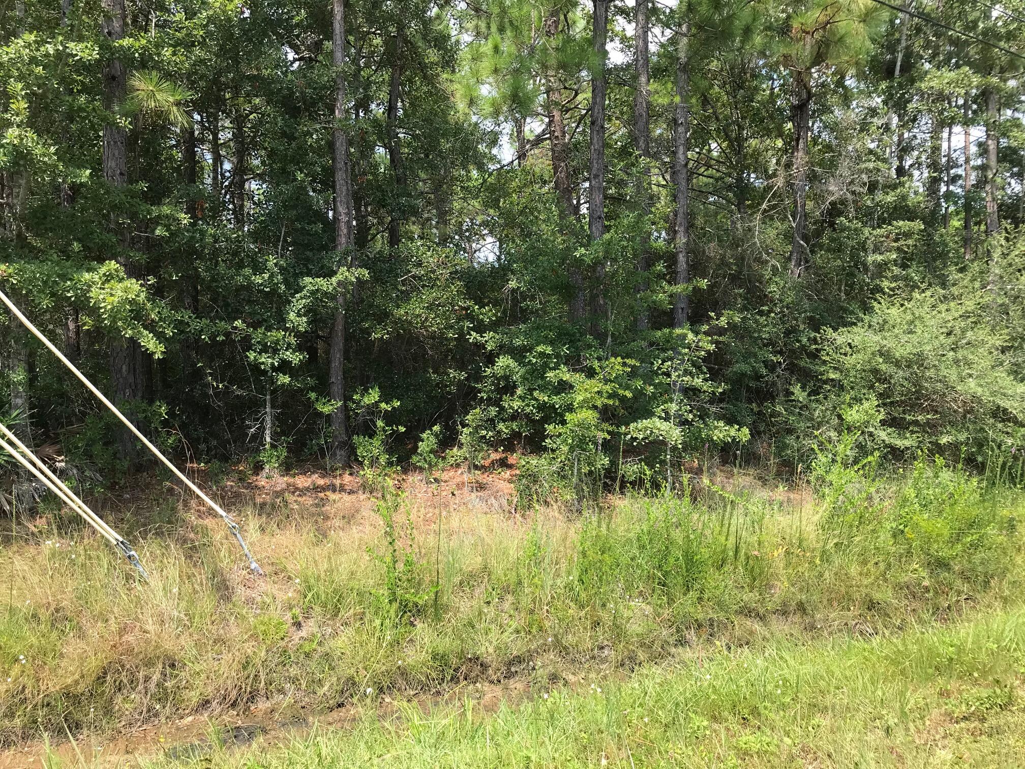 Xxx Bluefish Road Navarre, FL 32566 - Photo 1 of 4 Gallery Image 1