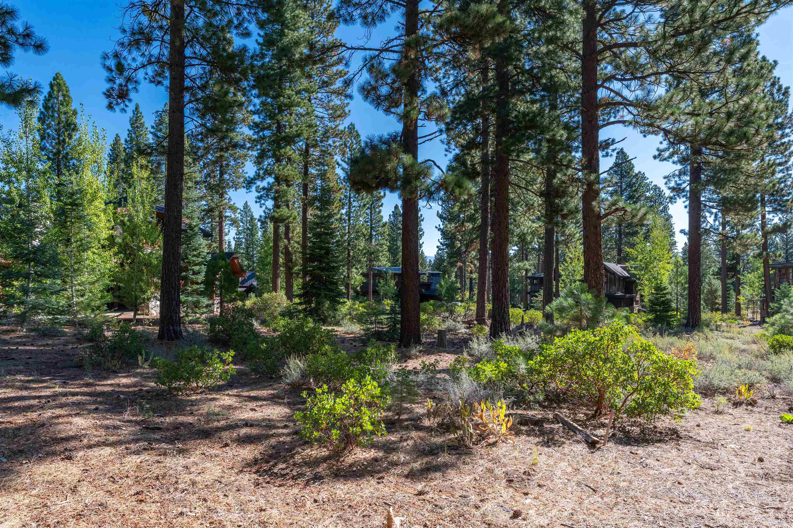 8331 Thunderbird Circle Truckee, CA 96161 - Photo 11 of 25 a backyard of a house with lots of green space