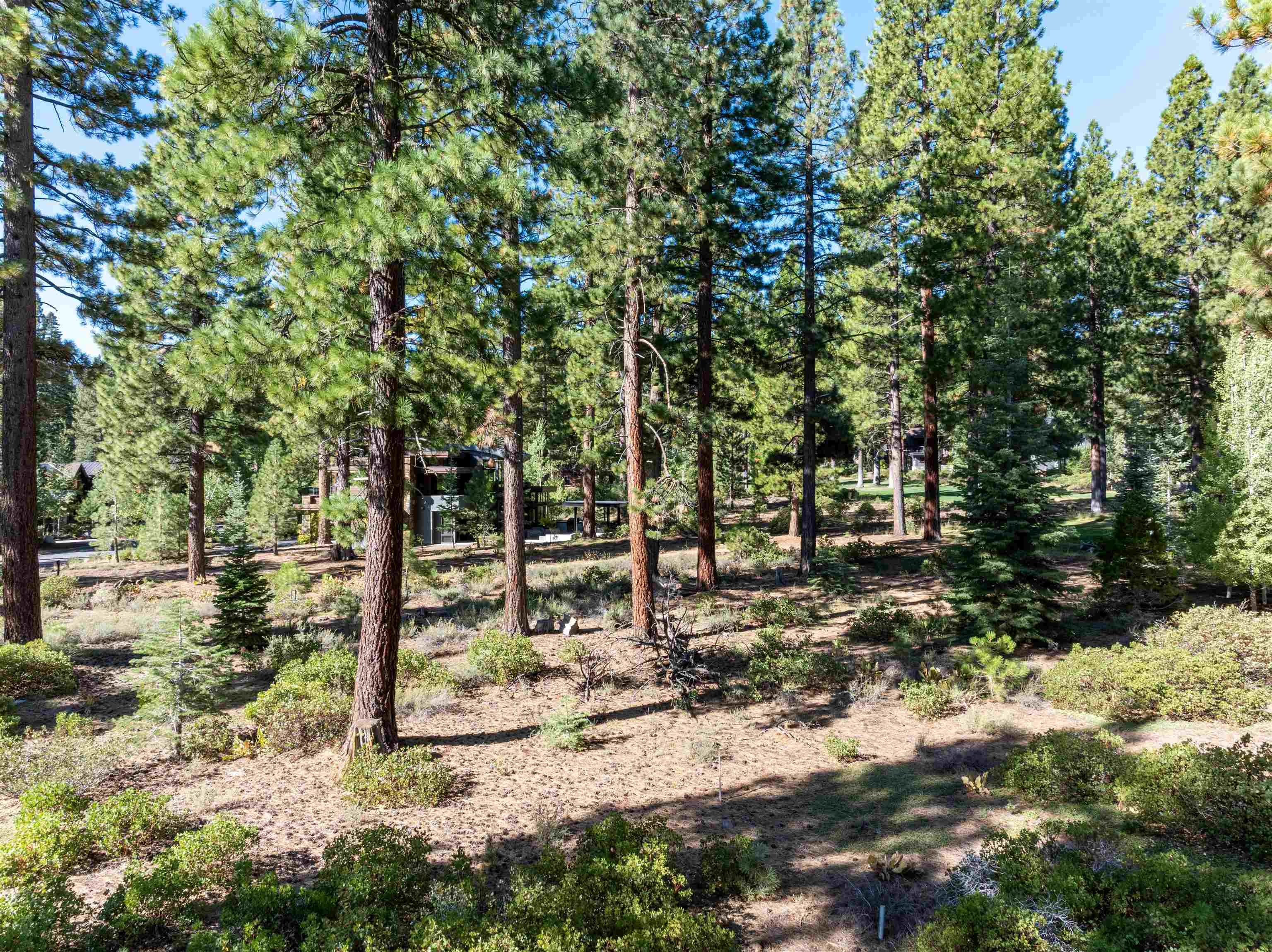 8331 Thunderbird Circle Truckee, CA 96161 - Photo 12 of 25 a backyard of a house with lots of green space
