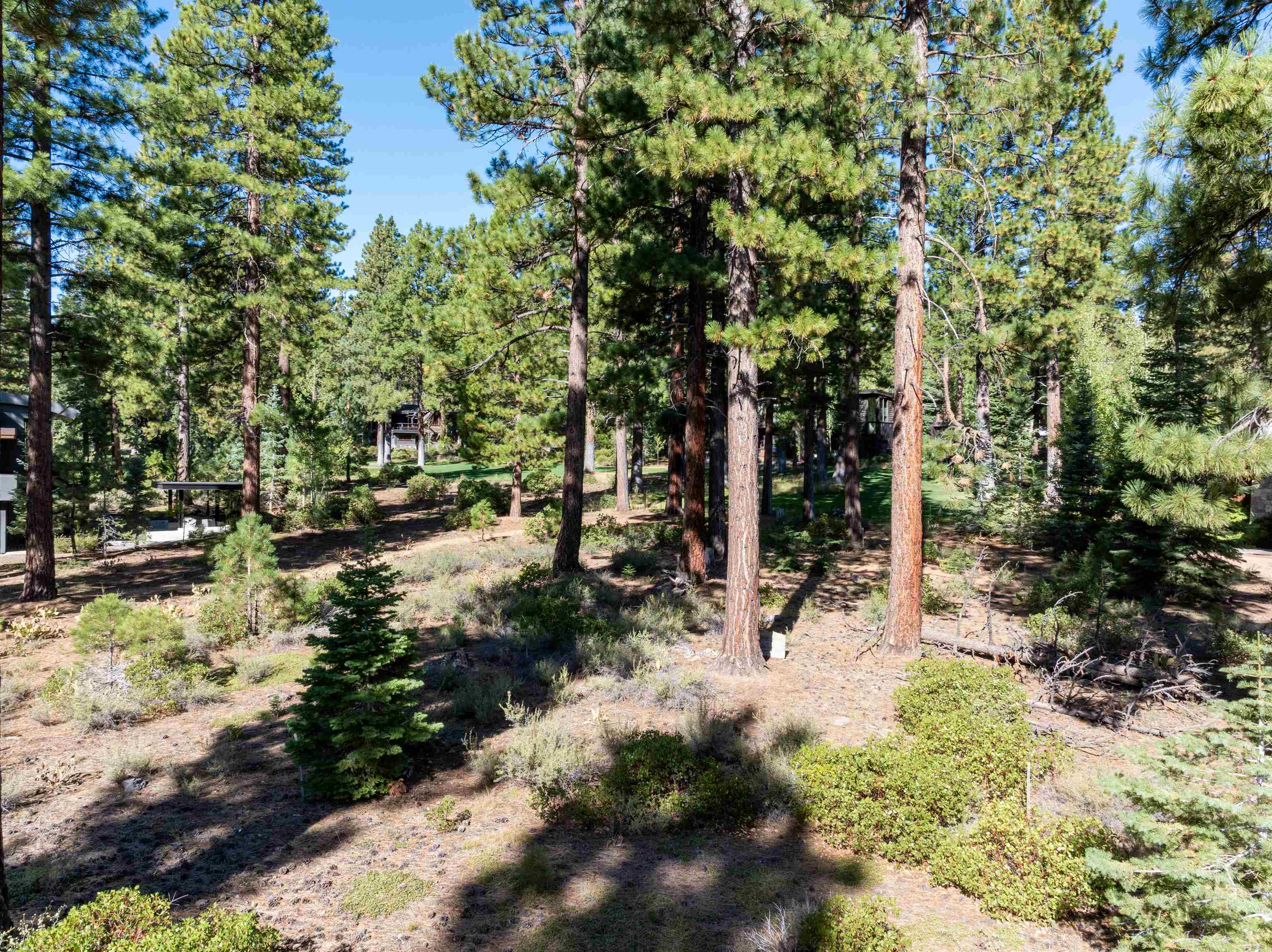 8331 Thunderbird Circle Truckee, CA 96161 - Photo 13 of 25