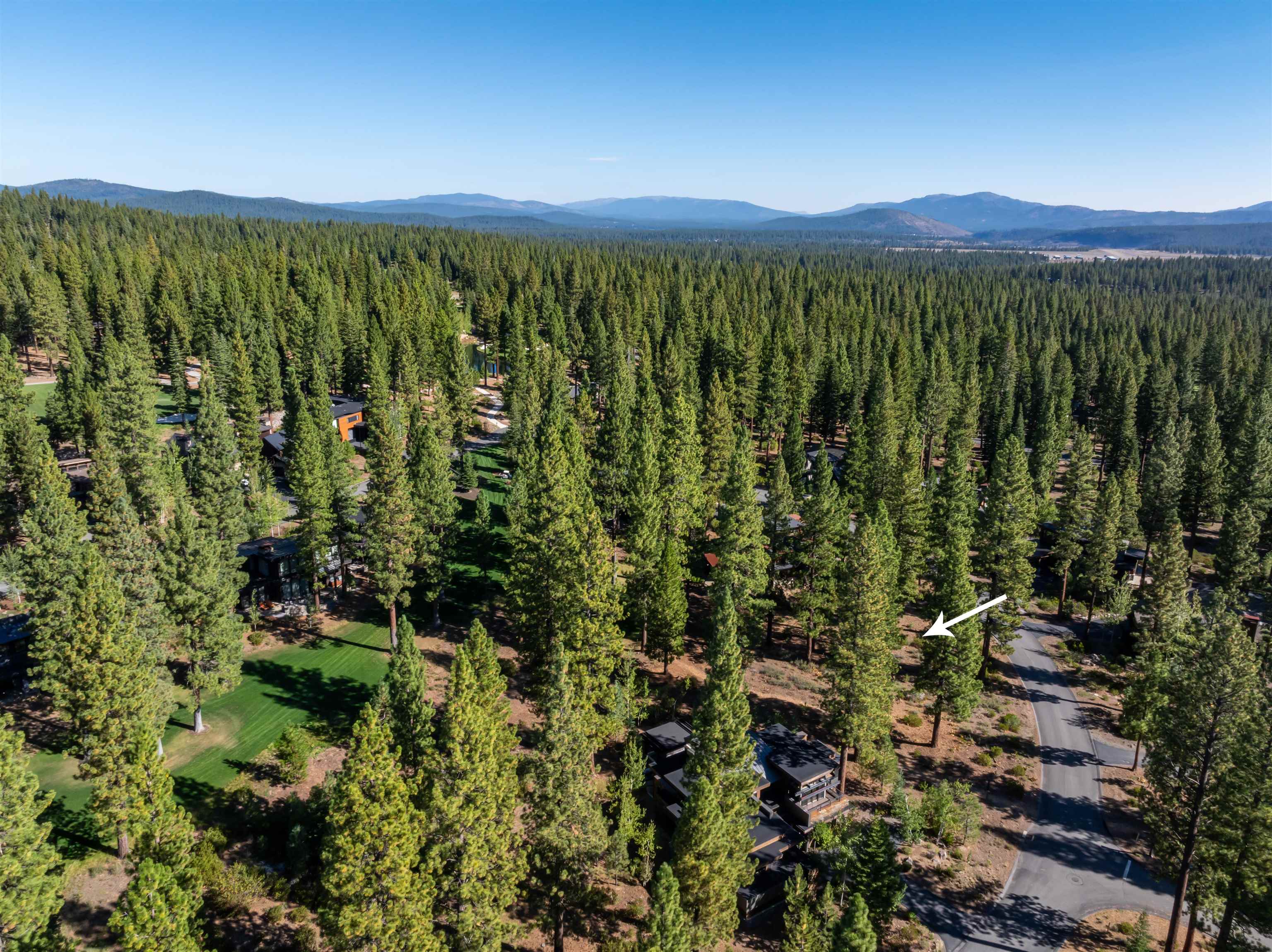 8331 Thunderbird Circle Truckee, CA 96161 - Photo 2 of 25 a view of a city with lush green forest