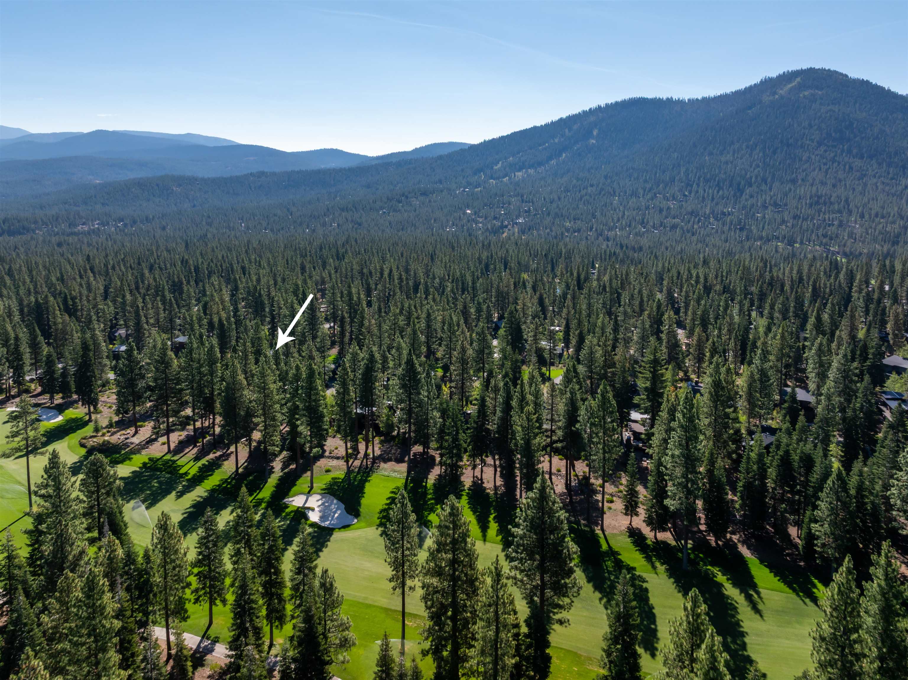 8331 Thunderbird Circle Truckee, CA 96161 - Photo 3 of 25 a view of a lush green forest with mountains in the background