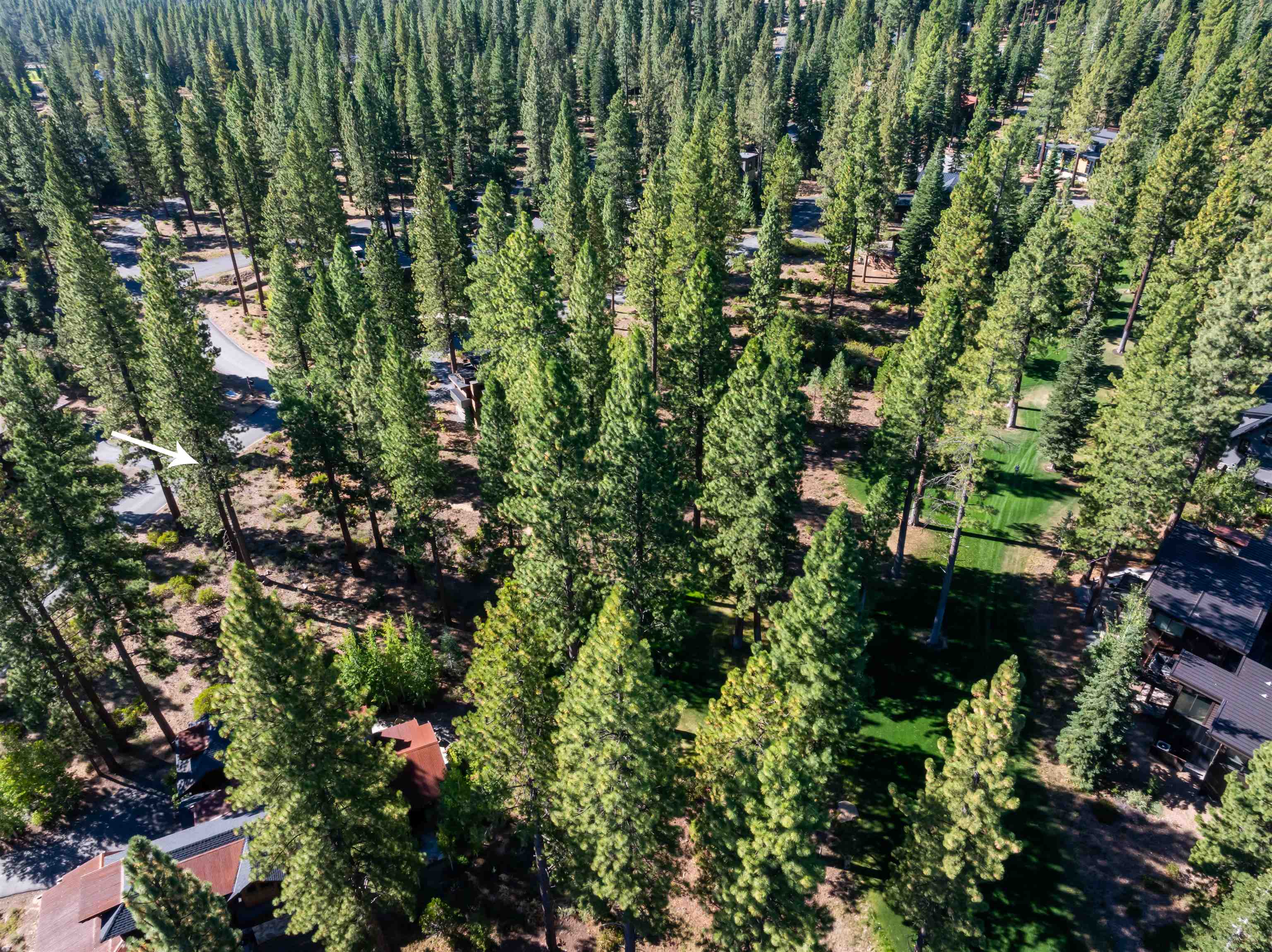 8331 Thunderbird Circle Truckee, CA 96161 - Photo 5 of 25 a view of a green field