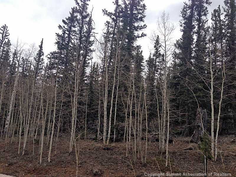 237 Smith And Wesson Road Como, CO 80432 - Photo 3 of 5 Land/Lot.