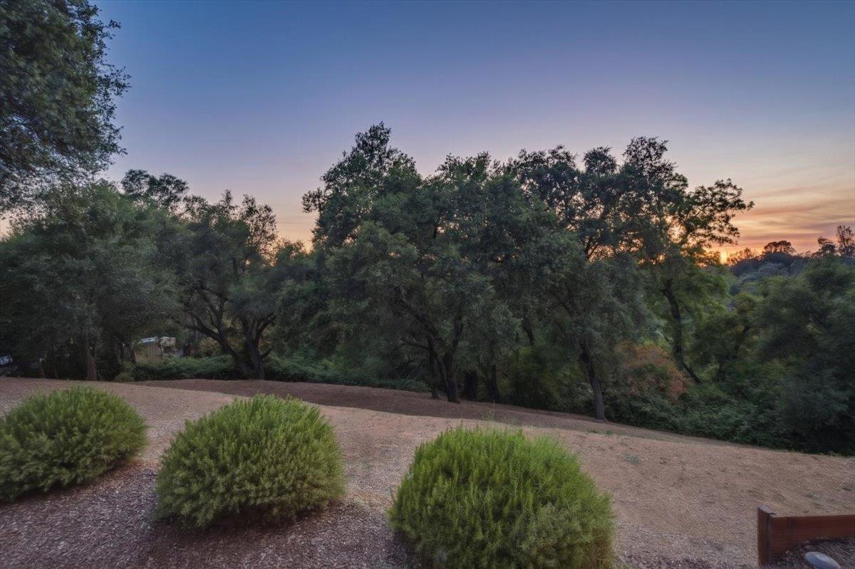 8950 Gilardi Road Newcastle, CA 95658 - Photo 70 of 78
