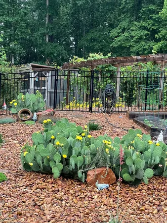 $550,000 | 2675 Mockingbird Hill Road, Palmyra, TN 37142