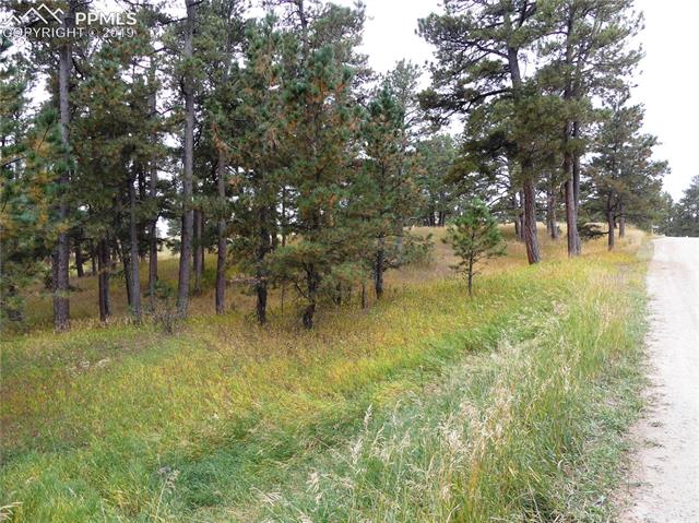 18115 Cumbres Road Peyton, CO 80831 - Photo 2 of 16 Gallery Image 2