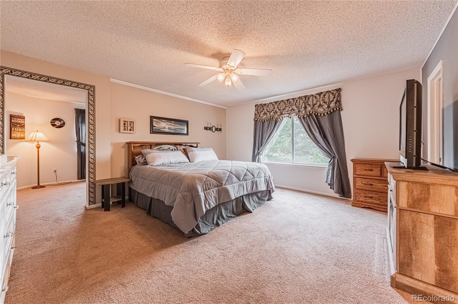 9660 South Castle Ridge Circle Highlands Ranch, CO 80129 - Photo 20 of 40