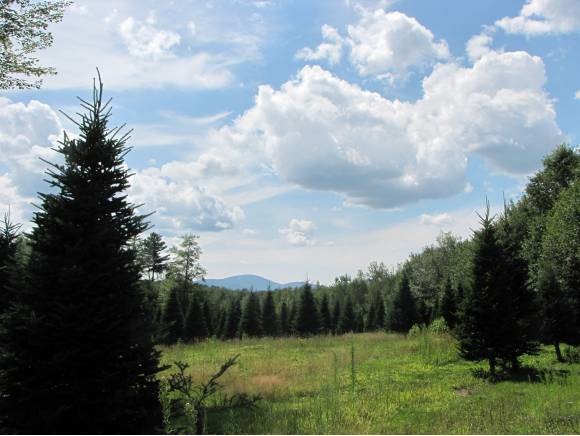 Lot #4 Lawrence Farm Road Morristown, VT 05661 - Photo 2 of 6
