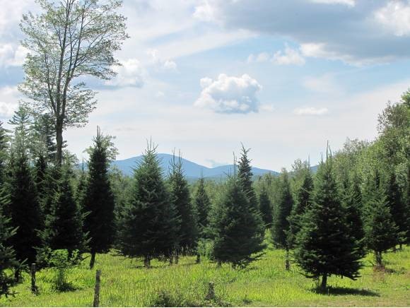 Lot #4 Lawrence Farm Road Morristown, VT 05661 - Photo 4 of 6