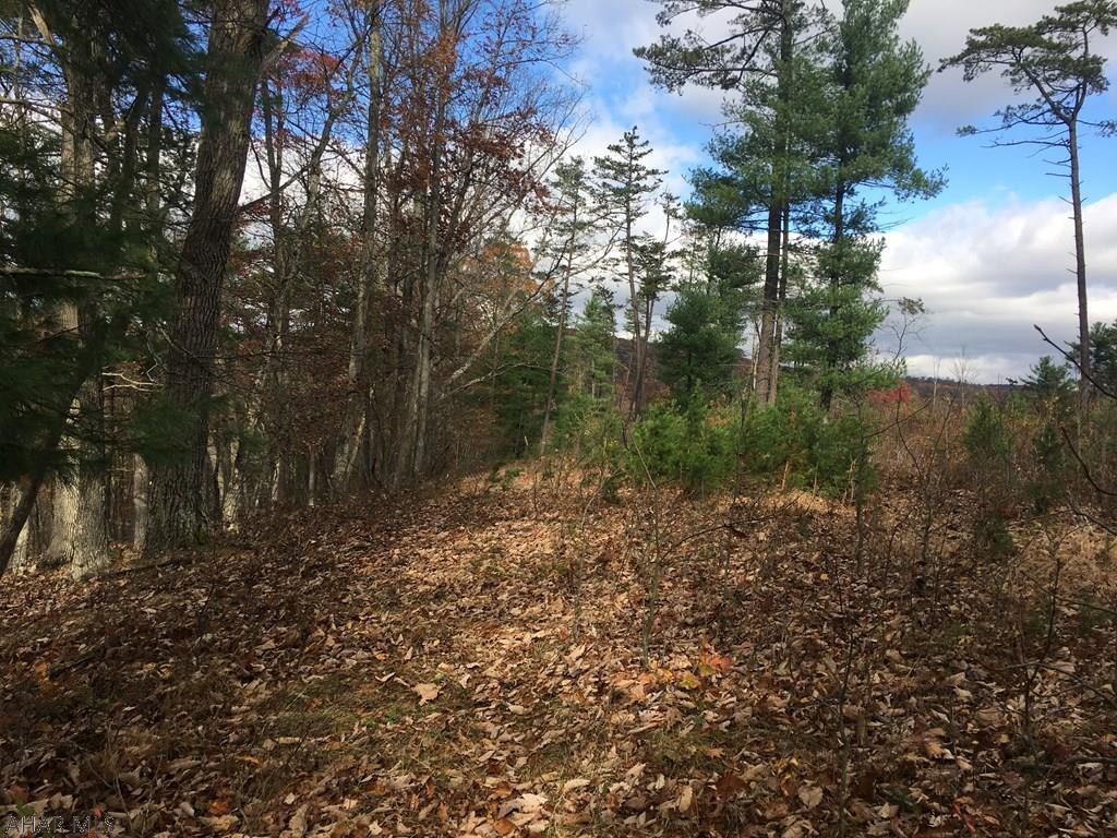 3152 Clear Ridge Road Clearville, PA 15535 - Photo 8 of 11 a view of a yard with plants and large trees