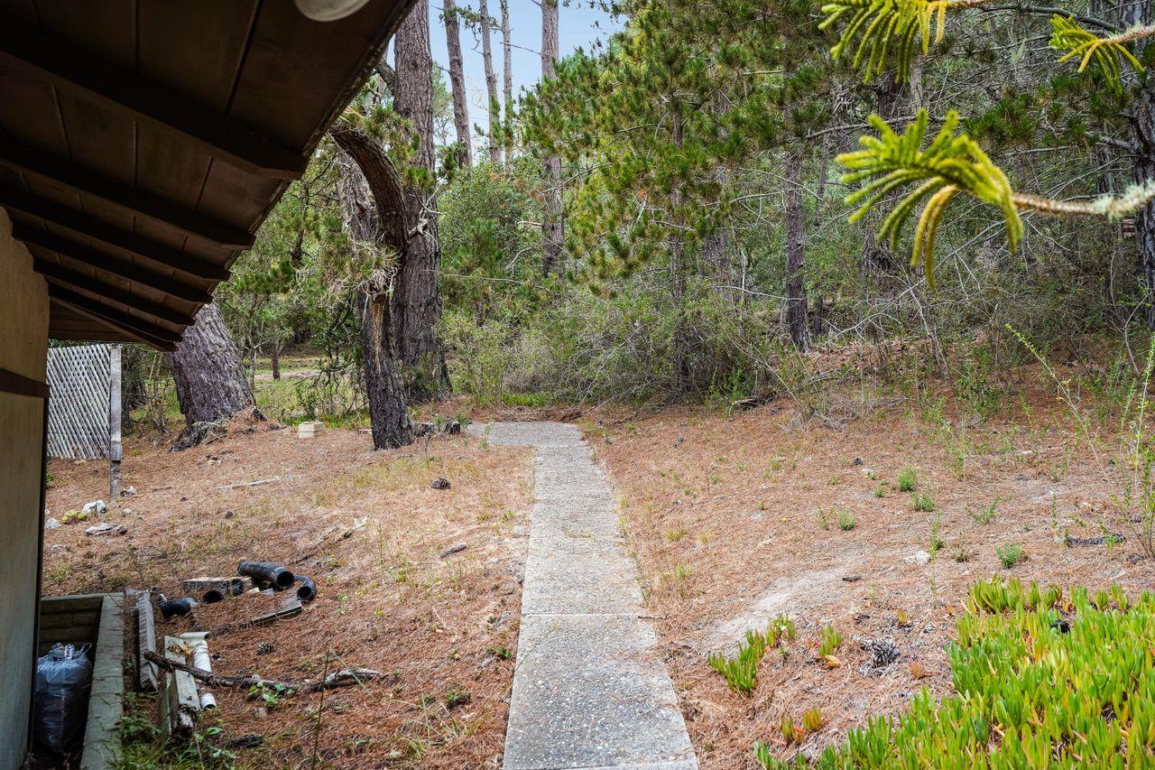 3 Forest Knoll Road Monterey, CA 93940 - Photo 5 of 63 a backyard of a house with lots of green space
