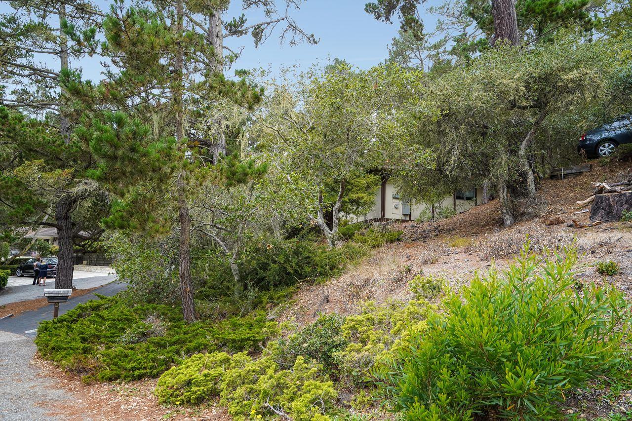 3 Forest Knoll Road Monterey, CA 93940 - Photo 9 of 63 a backyard of a house with lots of green space