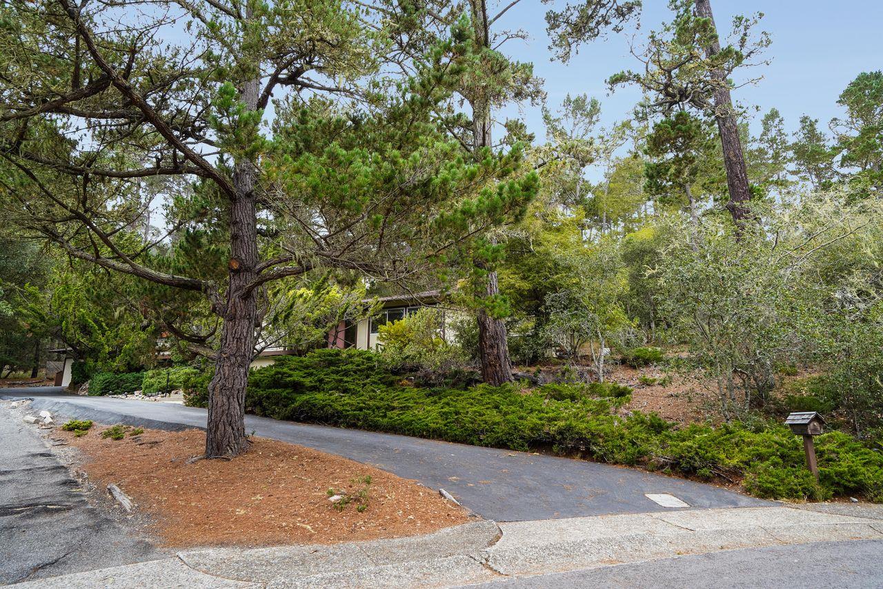 3 Forest Knoll Road Monterey, CA 93940 - Photo 10 of 63 a view of a yard with plants and trees