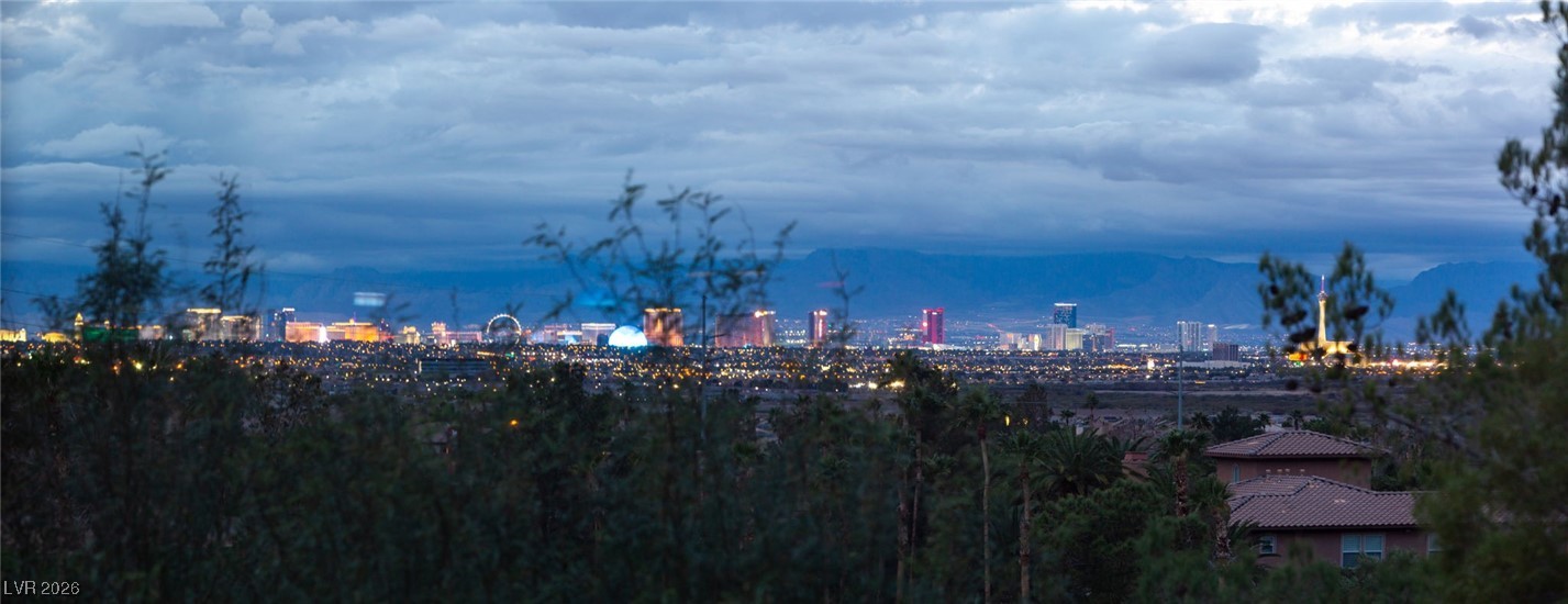 937 Rue Grand Paradis Lane Henderson, NV 89011 - Photo 58 of 85