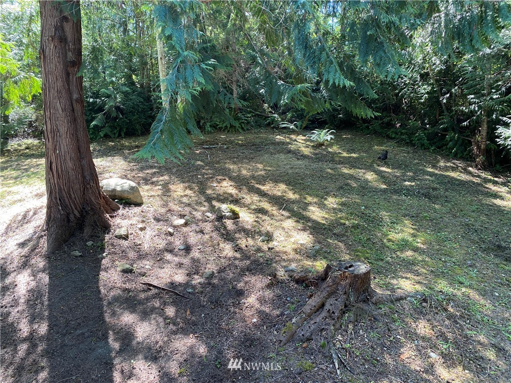 910 Rhododendron Lane Brinnon, WA 98320 - Photo 25 of 32 Gallery Image 25