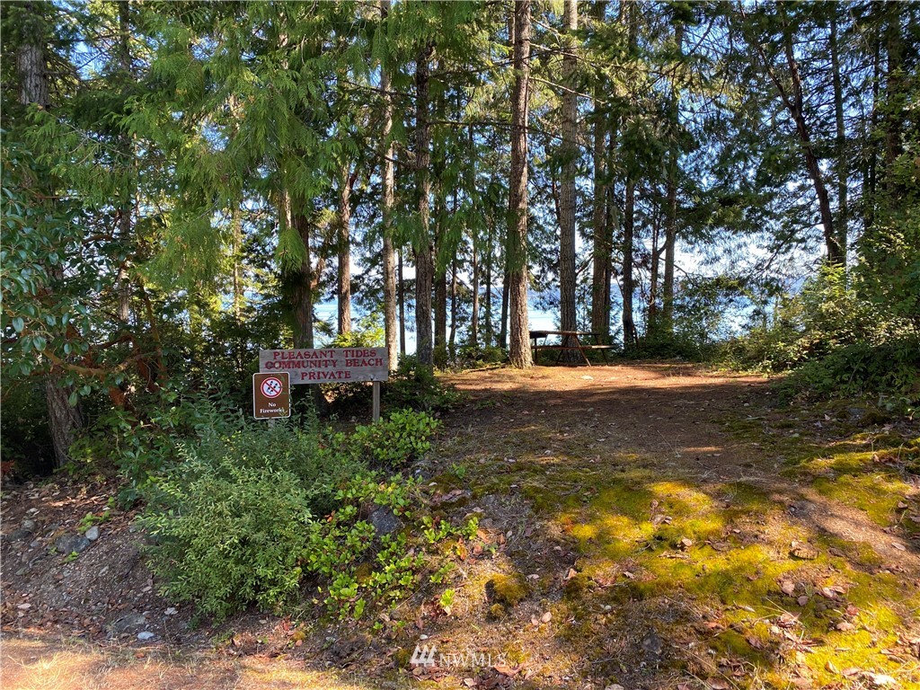 910 Rhododendron Lane Brinnon, WA 98320 - Photo 30 of 32 Gallery Image 30