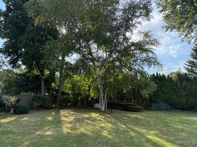 54 Surrey Amherst, NY 14221 - Photo 44 of 46 Mature well cared for trees that are maintained ye