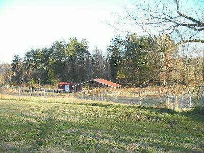 1030 Rainey Road Starr, SC 29684 - Photo 9 of 9 Gallery Image 9