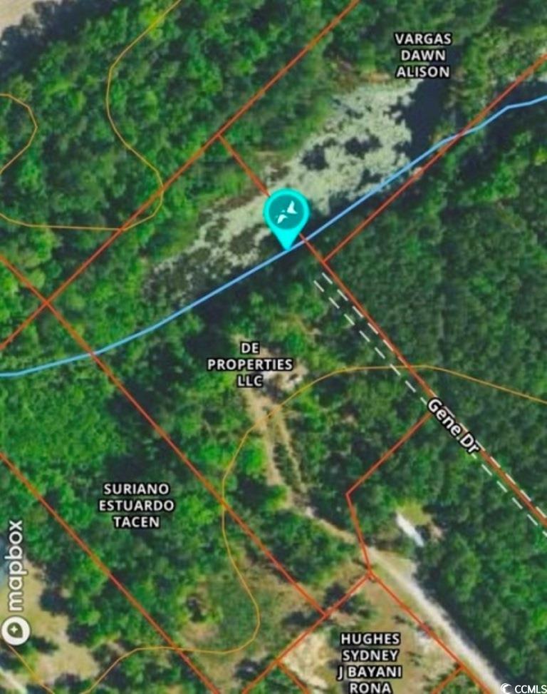 641 Gene Drive Hemingway, SC 29554 - Photo 15 of 15 Aerial map of property and surrounding area