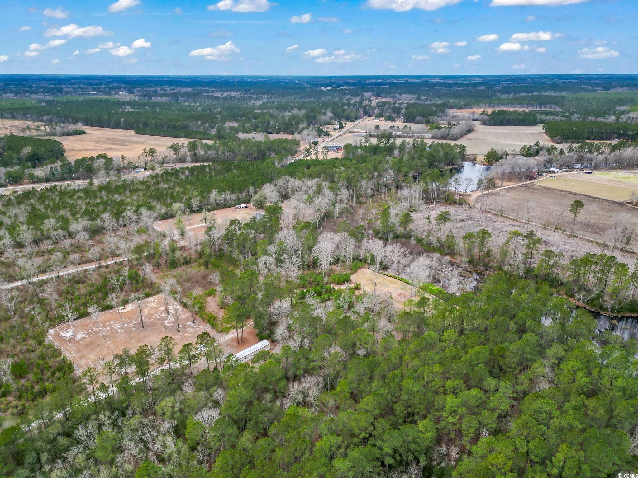 641 Gene Drive Hemingway, SC 29554 - Photo 4 of 15 Aerial view of property and surrounding area with rural landscape