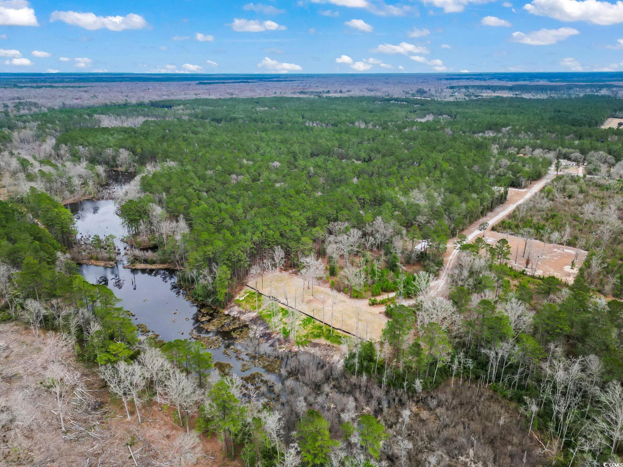 641 Gene Drive Hemingway, SC 29554 - Photo 7 of 15 Aerial view of property's location featuring a forest and a nearby body of water