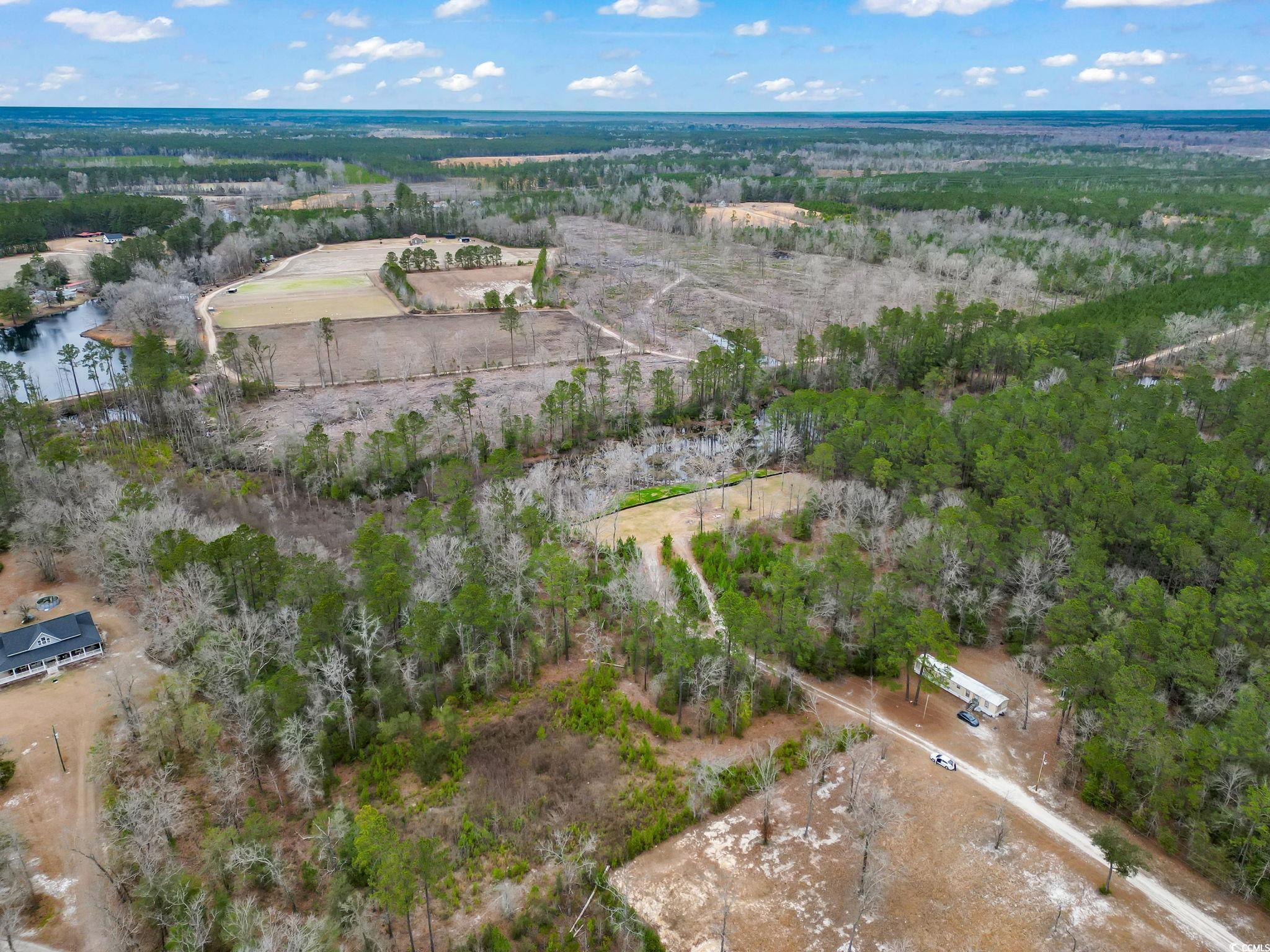 641 Gene Drive Hemingway, SC 29554 - Photo 8 of 15 Aerial overview of property's location featuring a nearby body of water