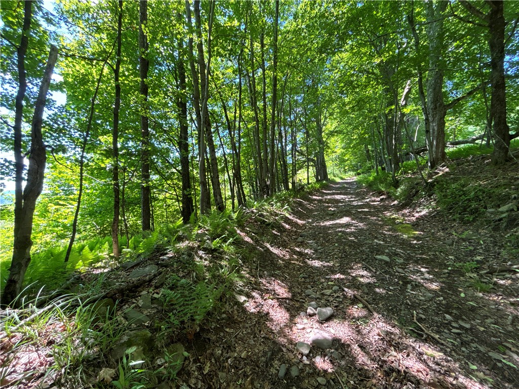 2636 Murphy Hill Road Andes, NY 13731 - Photo 30 of 33