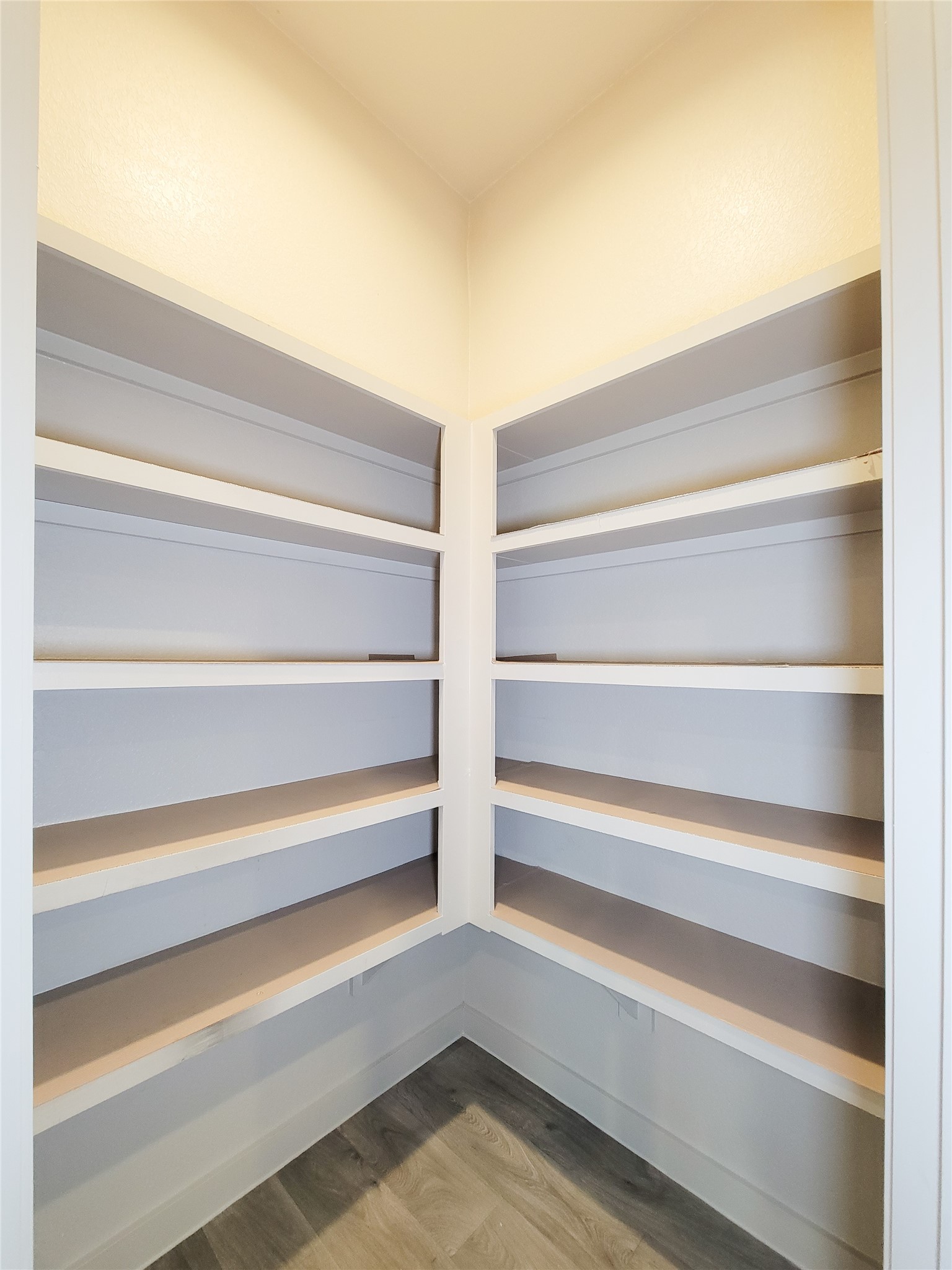 7722 Caldwell Crk Way Rosharon, TX 77583 - Photo 8 of 40 This photo shows a spacious pantry with multiple built-in shelves, perfect for organized storage. The neutral color scheme and ample shelving make it ideal for keeping kitchen essentials neatly arranged.