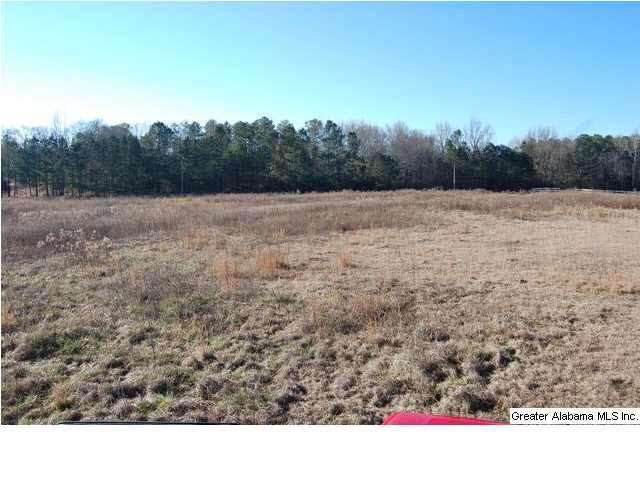 993 County Road, Unit 8/13/12 Clanton, AL 35045 - Photo 2 of 9