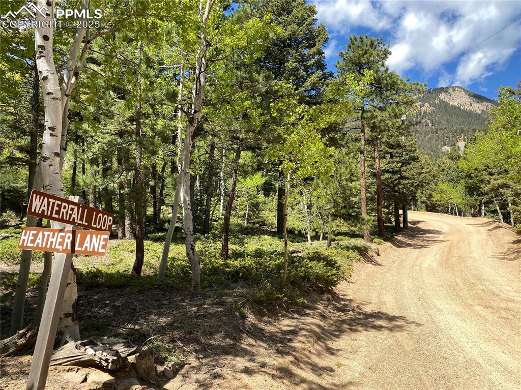 210 Waterfall Loop Manitou Springs, CO 80829 - Photo 12 of 16 a view of a yard with plants and trees