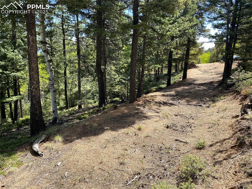210 Waterfall Loop Manitou Springs, CO 80829 - Photo 5 of 16 a view of a yard with trees