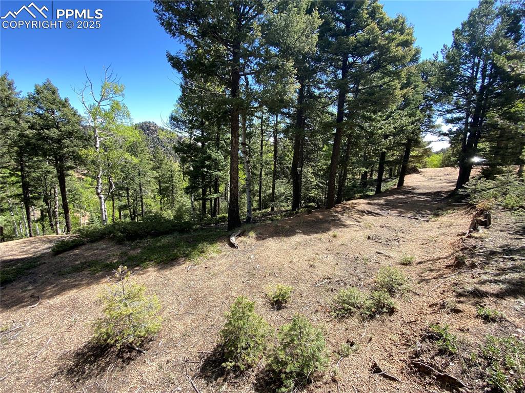 210 Waterfall Loop Manitou Springs, CO 80829 - Photo 8 of 16 a view of a yard with trees