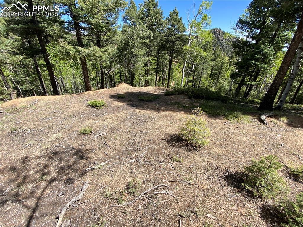 210 Waterfall Loop Manitou Springs, CO 80829 - Photo 9 of 16 a view of outdoor space and yard