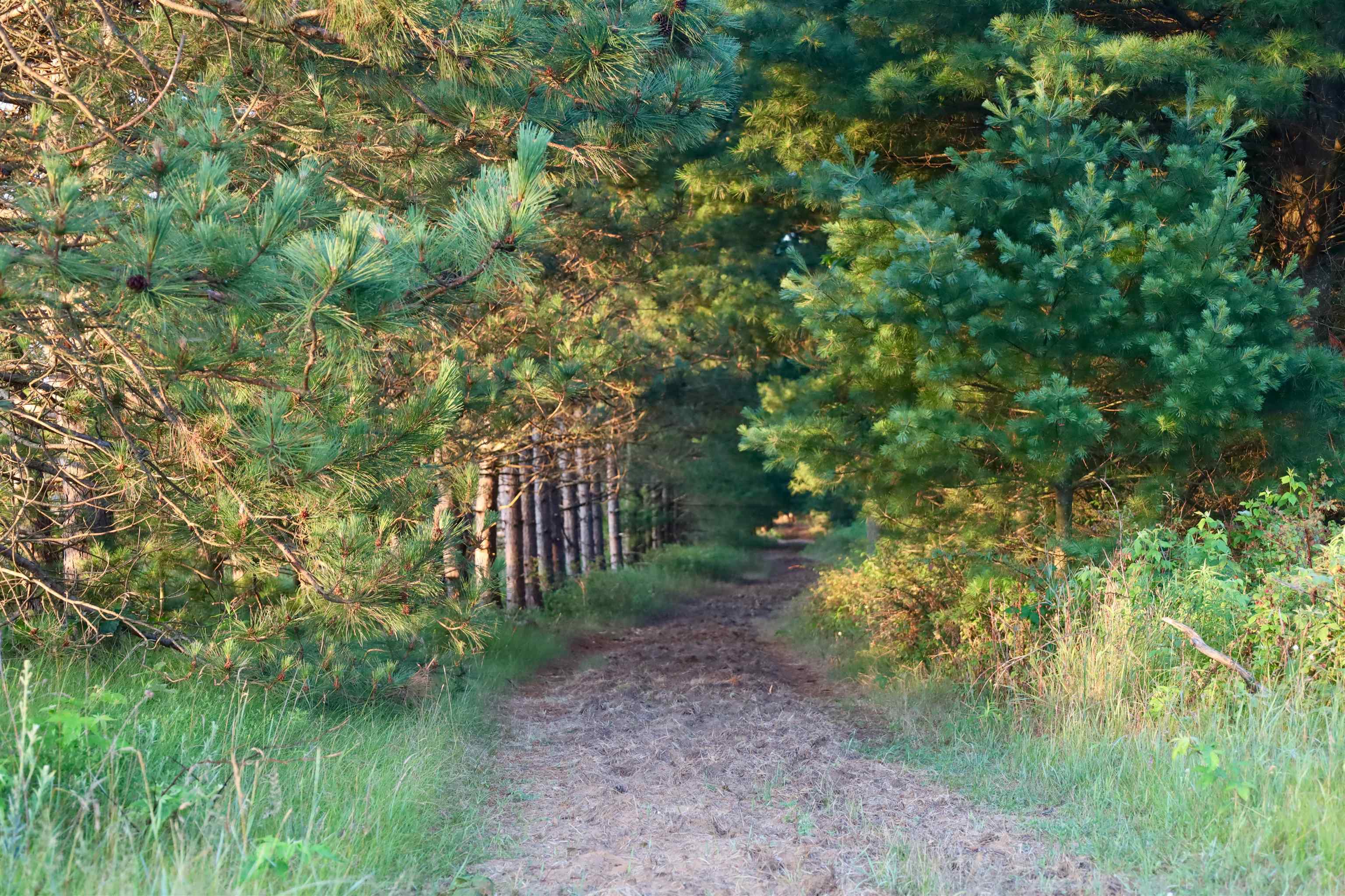 0 17th Montello, WI 53949 - Photo 15 of 30
