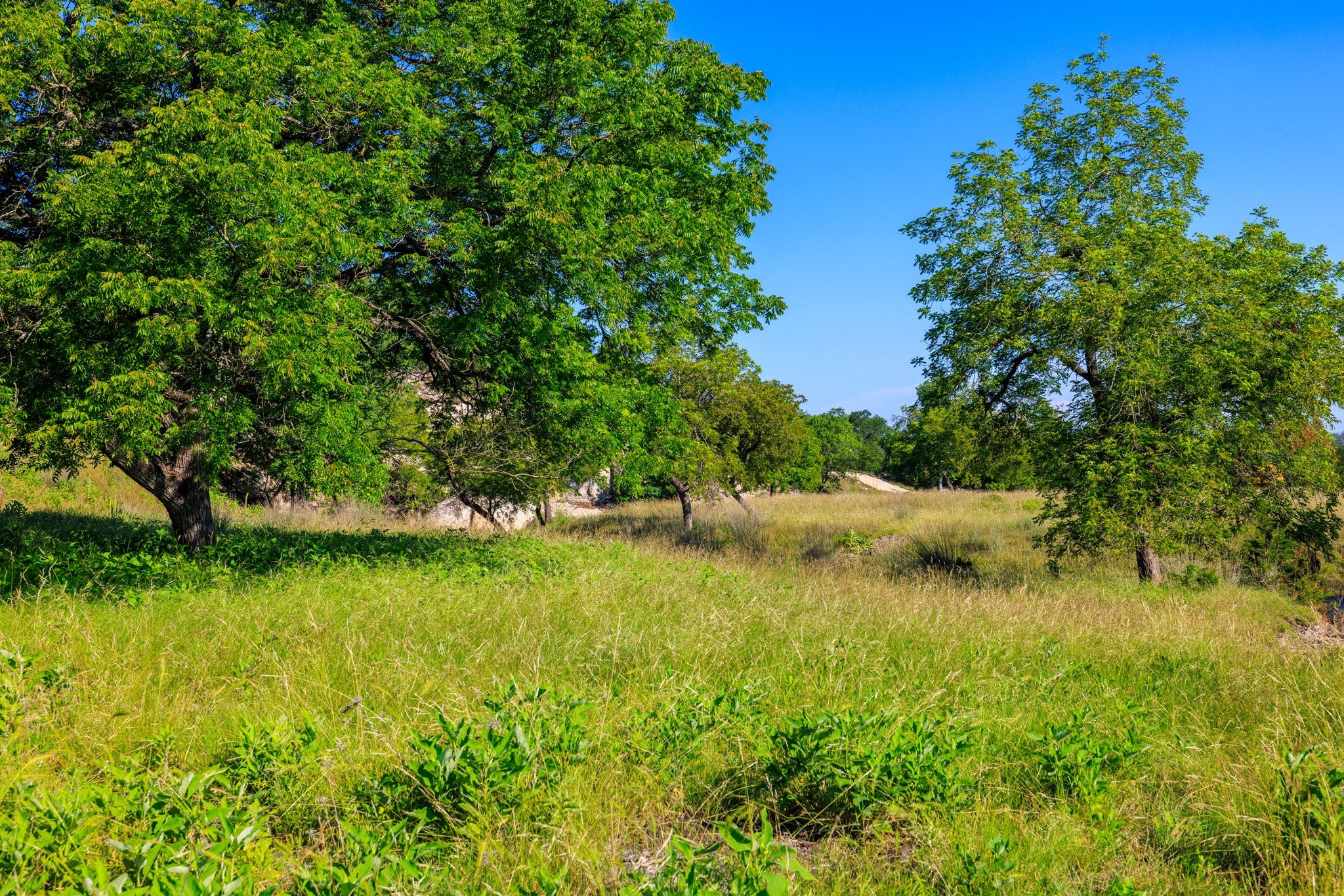481 Living Water Ranch Road Harper, TX 78631 - Photo 6 of 30