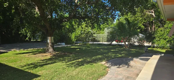 a view of a tree in a yard