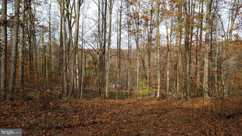 Crone Road Dover, PA 17315 - Photo 2 of 4