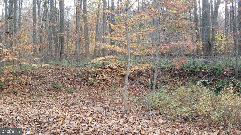 Crone Road Dover, PA 17315 - Photo 3 of 4