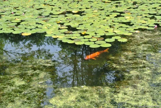 $6,500 | 38 Strawberry Ridge Road, Warren, CT 06777